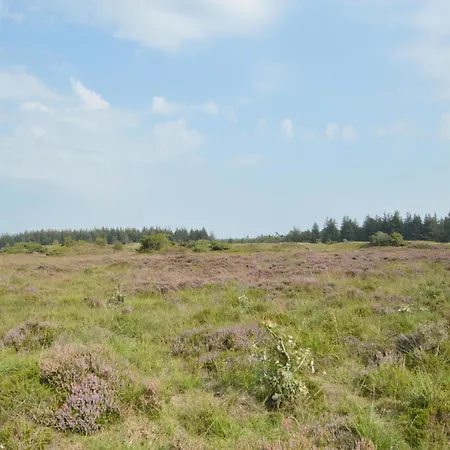 4 Bedroom In * Toftlund